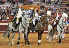 Imagens da corrida de Coruche  12-09-2014